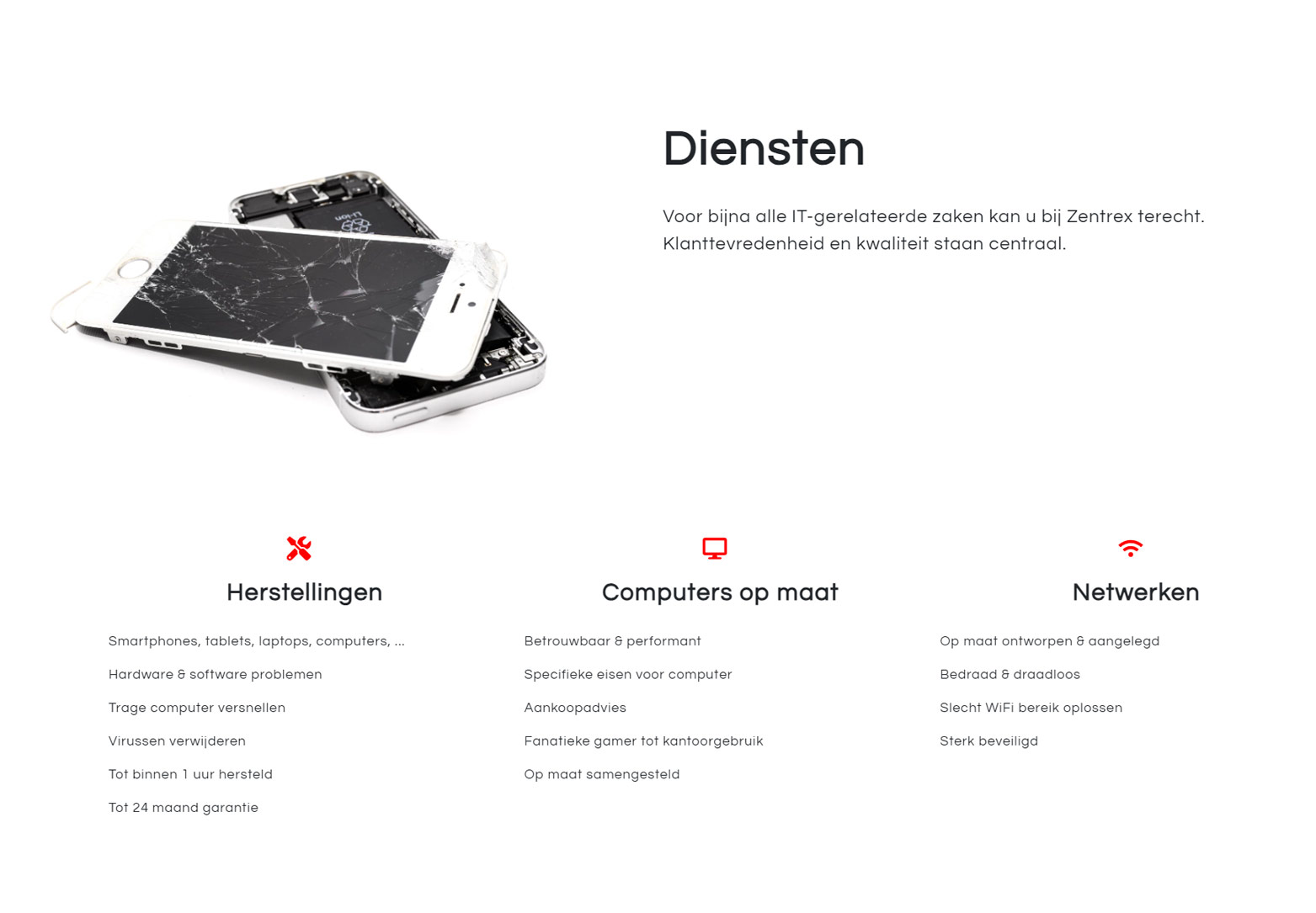Screenshot of the Zentrex website section on their services